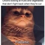 I cri everytime