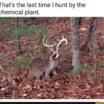 That’s the last time I hunt by the chemical plant.