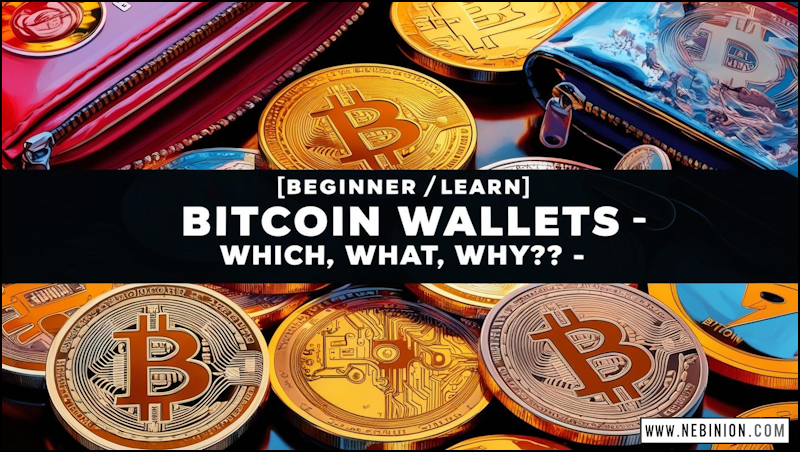 https://nebinion.com/wp-content/uploads/2025/04/bitcoin-wallets-nebinion.png